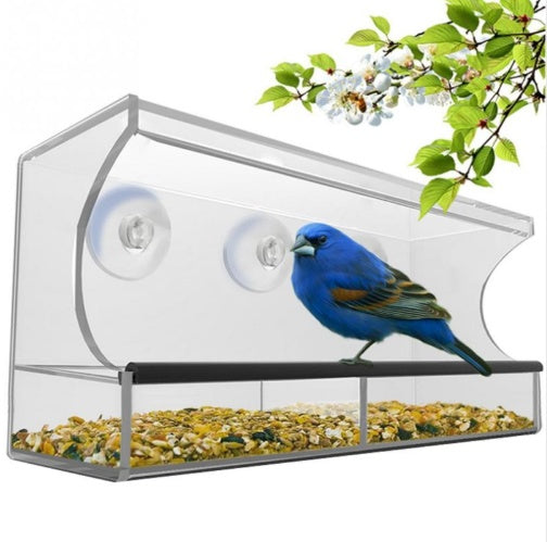 Acrylic Bird Feeder Box for Parrots and Small Birds