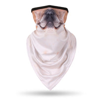 Yellow Pug