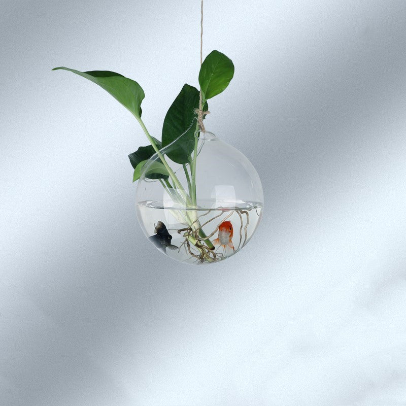 Creative Hydroponic Plant Aquarium Hanging Transparent Glass Vase