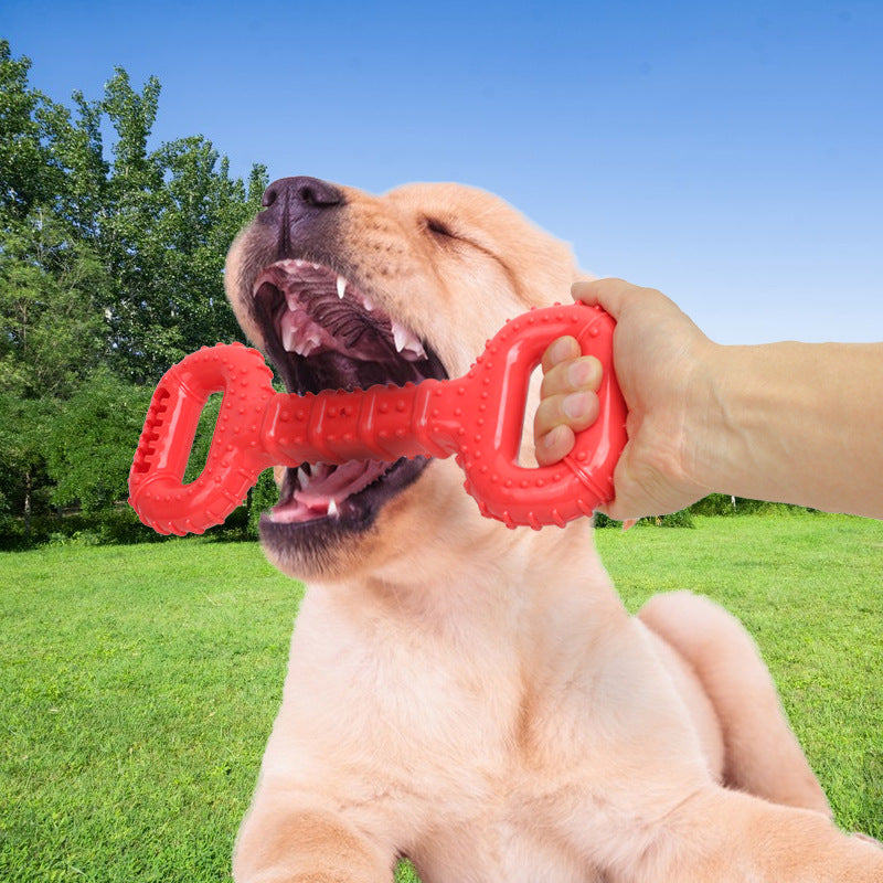 Durable Dog Bones and Chew Toys for Aggressive Chewers