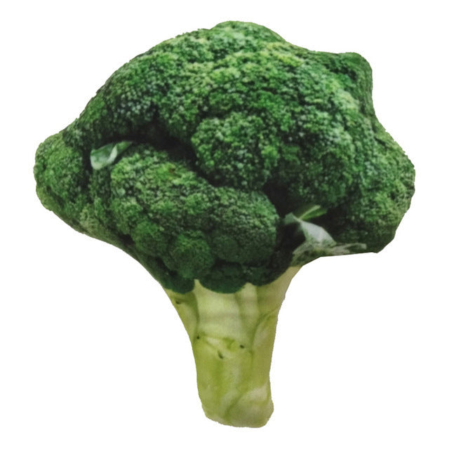 Squeaky Veggie & Drumstick Pet Chew Toy