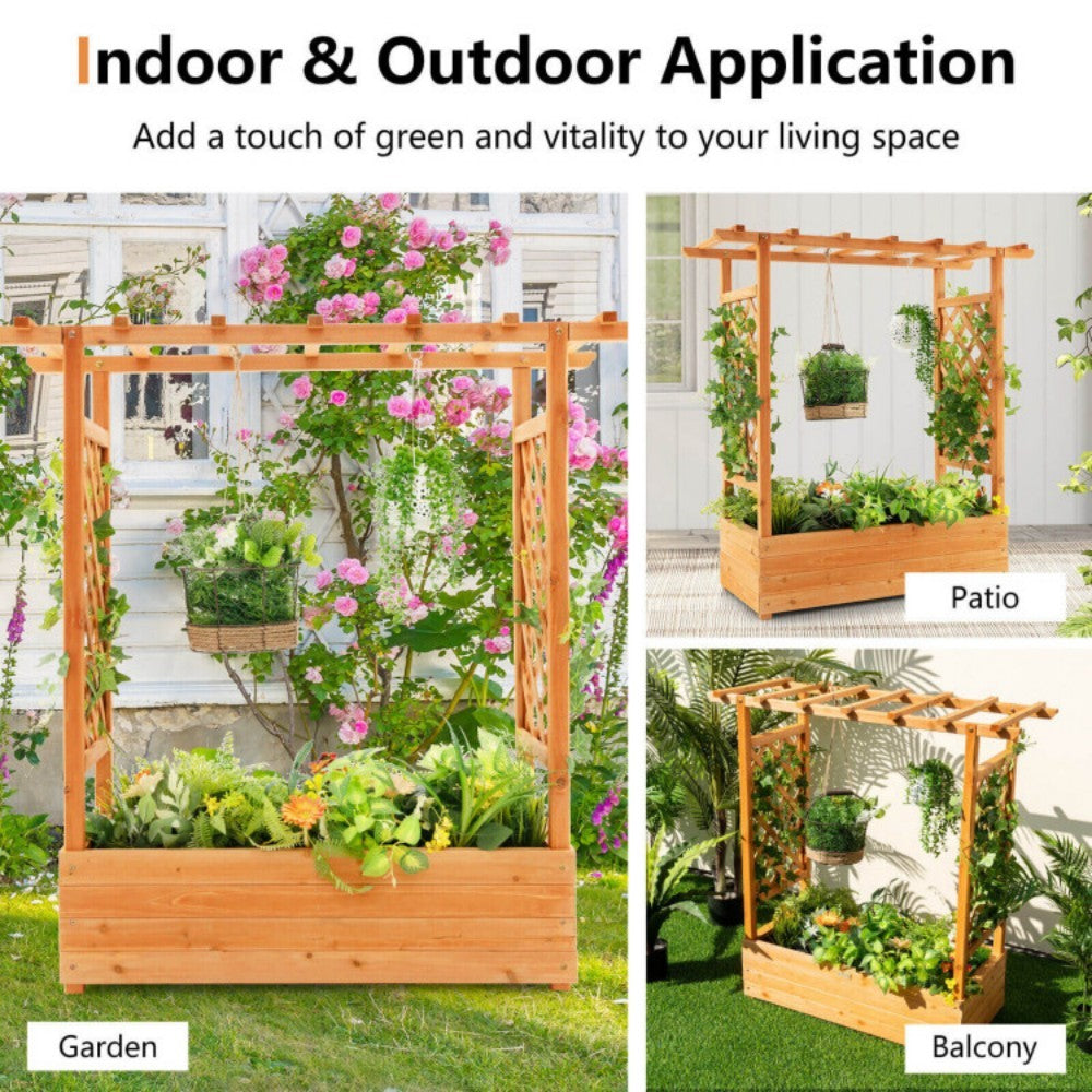 Raised Garden Bed With Trellis Or Climbing Plant And Hanging Roof