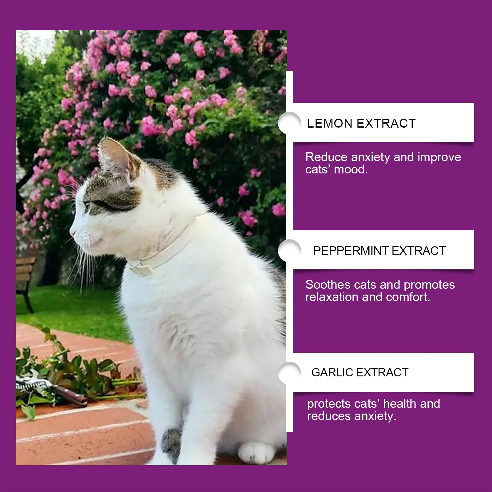 Cat Mood Spray To Prevent Scratching