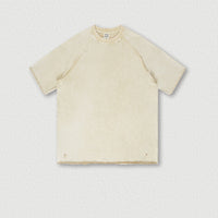 Grey apricot