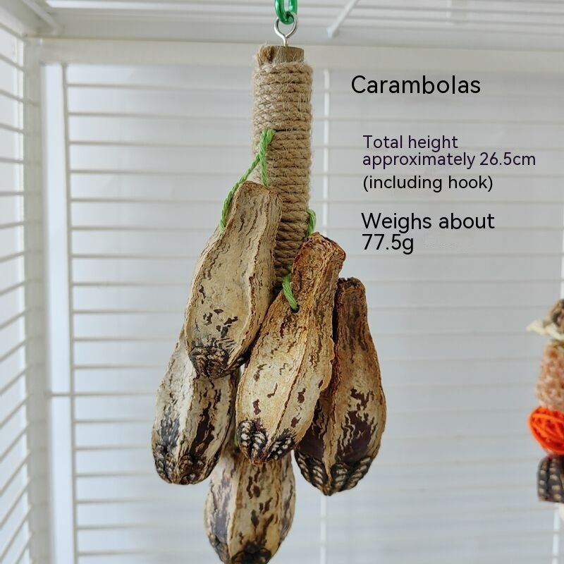 Non-Toxic Yangtao Wooden Parrot Bite Toy with Metal Hook for Cage Attachment