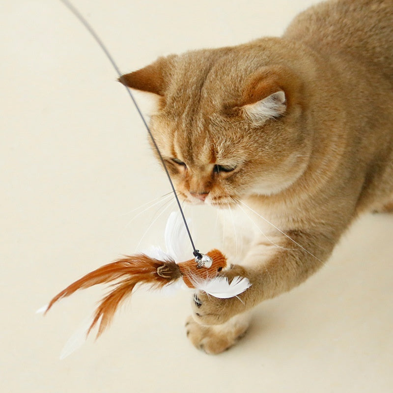 Simulation Bird Steel Wire Long Brush Holder Cat Teaser Feather Replacement Head Cat Toy