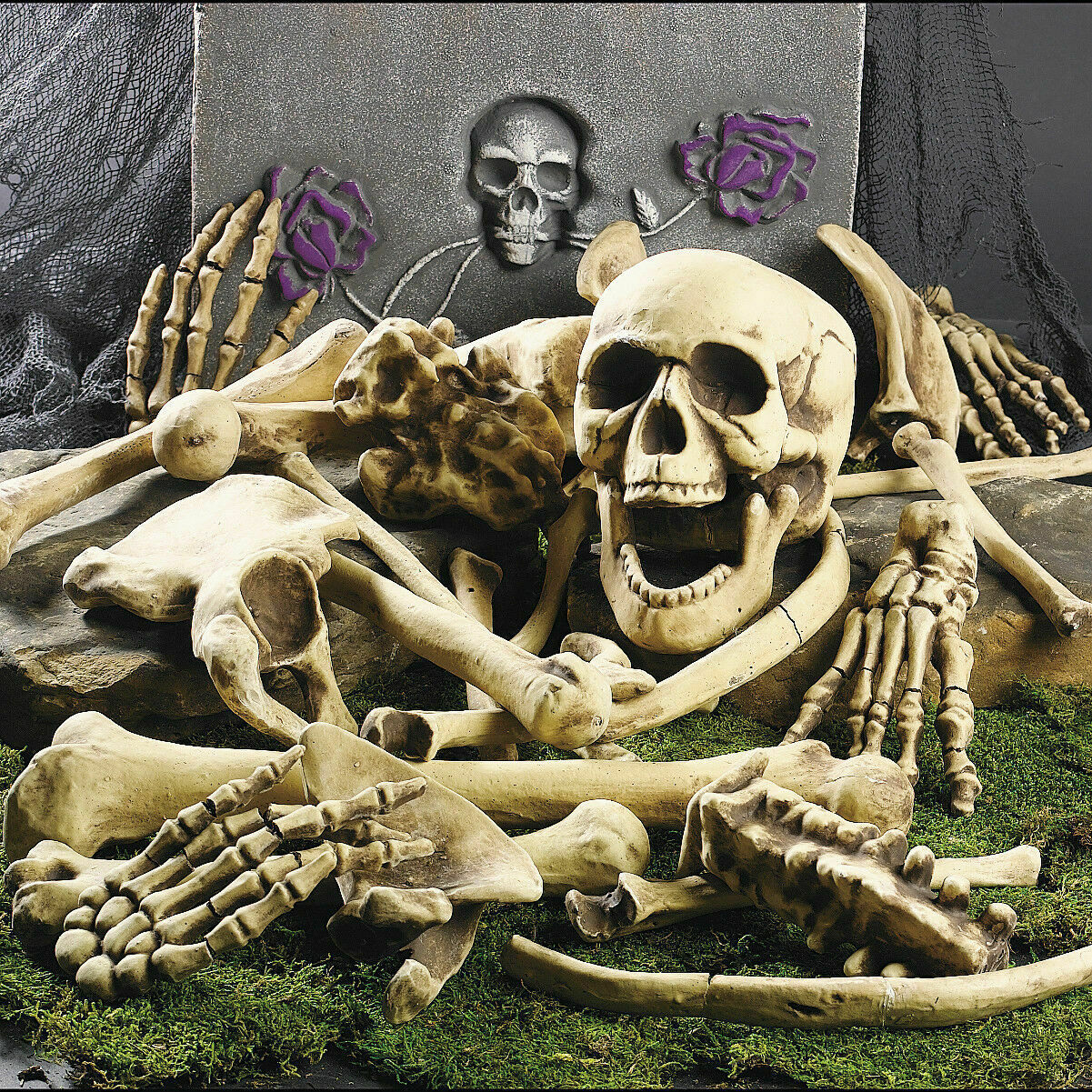 28PCS Halloween Skeleton Bones Set – Scary Skull and Bone Props for Haunted House and Party Decorations