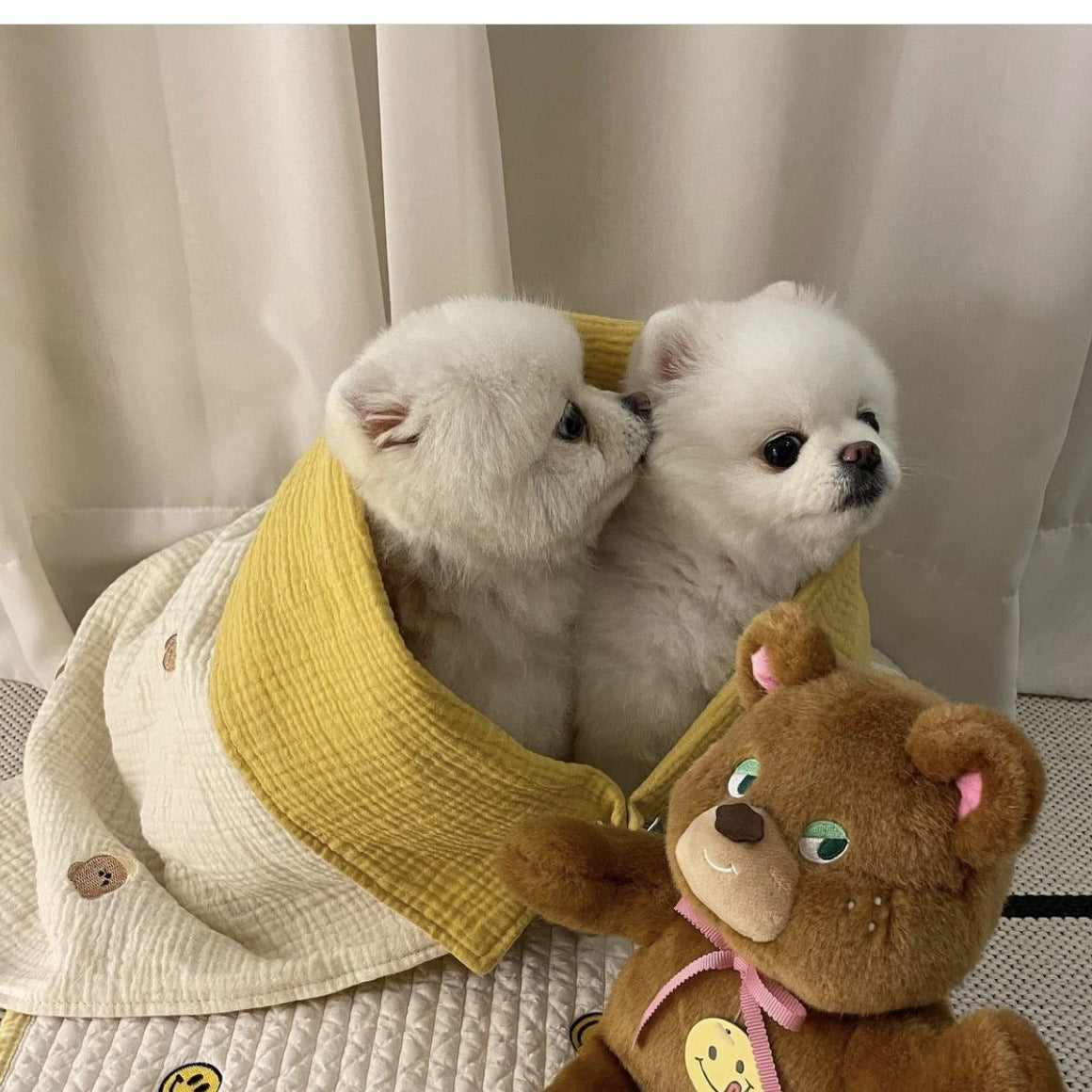 Cotton Four-layer Gauze Embroidery Pet Air-conditioning Quilt Cover Blanket