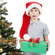 Plush And Lined Christmas Hat Christmas Hat