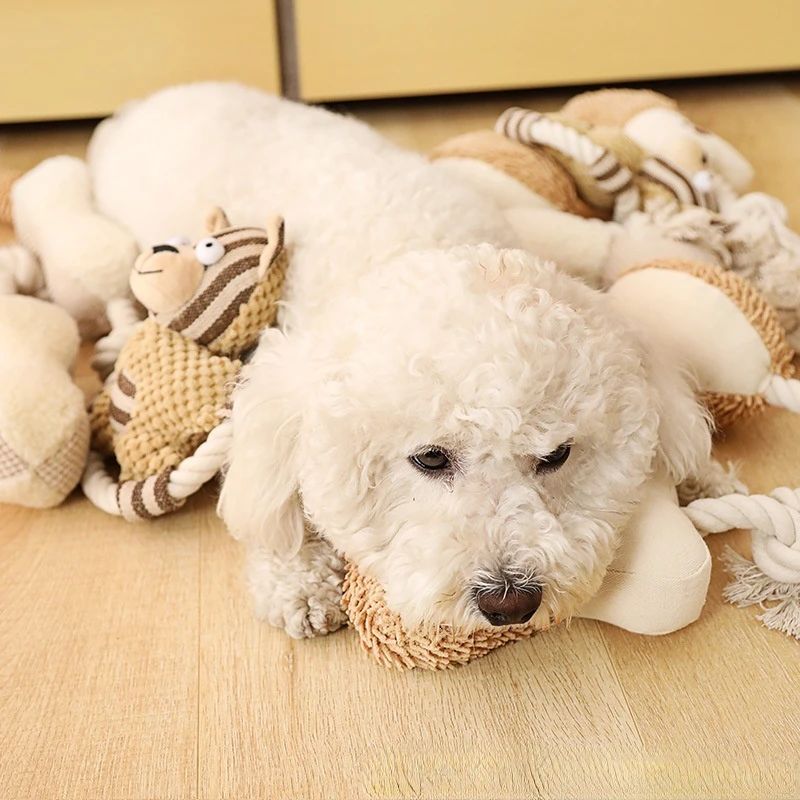 Durable Cotton Rope Knot Dog Toy for Teeth Cleaning and Bite-Resistant Training