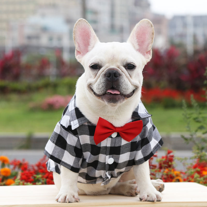 Dog Plaid Shirt Suit Wedding Dress Method Fighting Pug Small, Medium And Large Dog Pet Clothes Cat Spring Summer Autumn