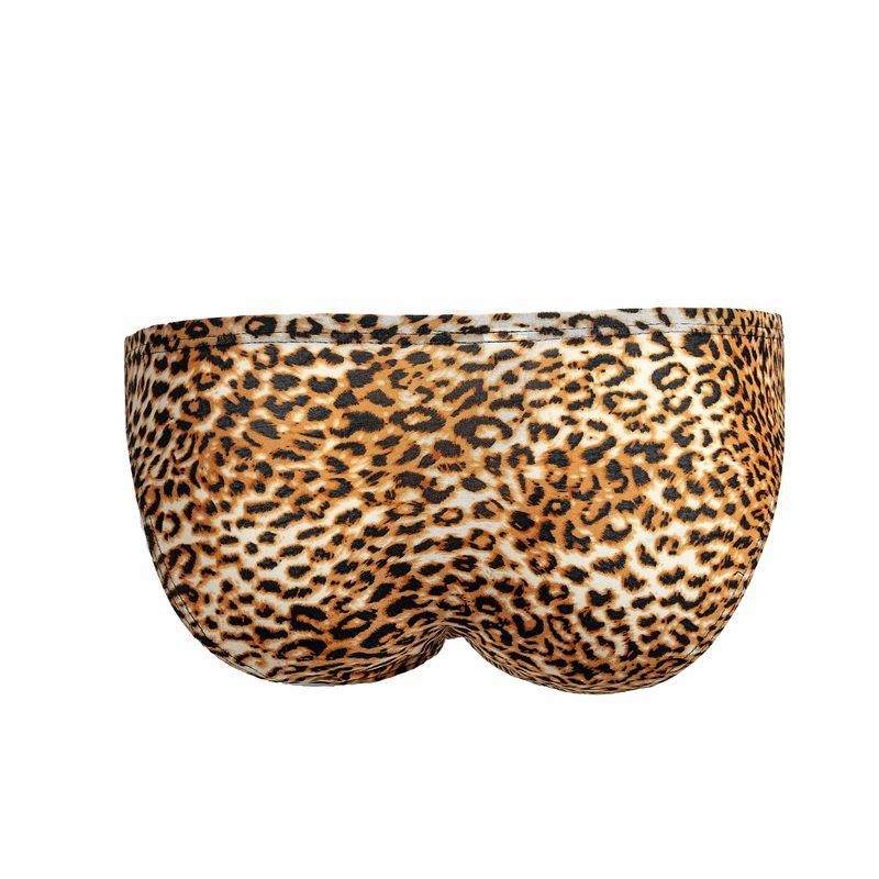 Mens Leopard Print Briefs Breathable Mesh Nylon Low Waist