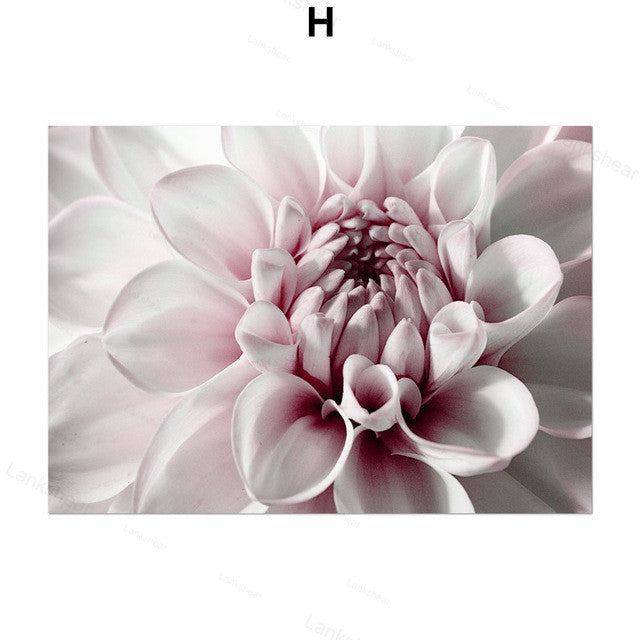 Peony Flower Wall Art – Elegant Canvas Painting for Home Decoration