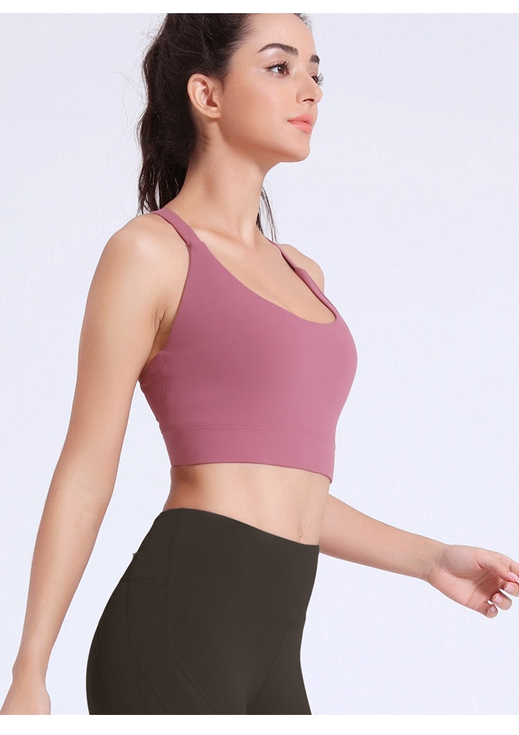 Women’s Seamless Fitness Underwear – Training Briefs
