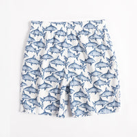 Shark