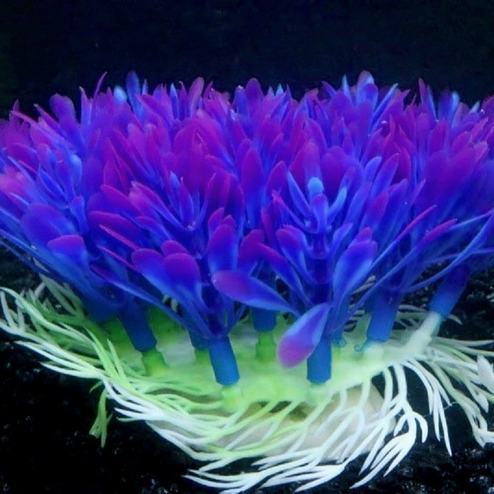 Aquarium Landscaping Accessory Set