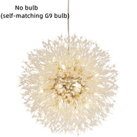 No bulb