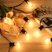 Outdoor Waterproof LED Lighting Chain Courtyard Decoration