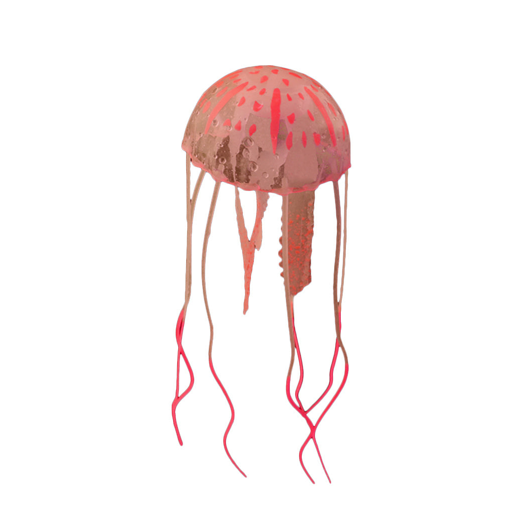 Real Jellyfish Wholesale Goldfish Tank Aquarium Landscaping