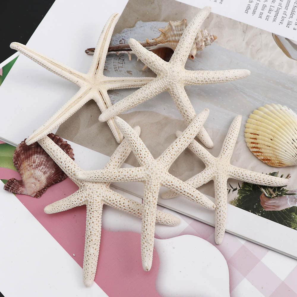Handmade Diy Material Fish Tank Micro Landscape Starfish Jewelry