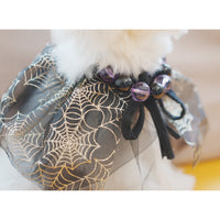 S Size Spider Web Shawl