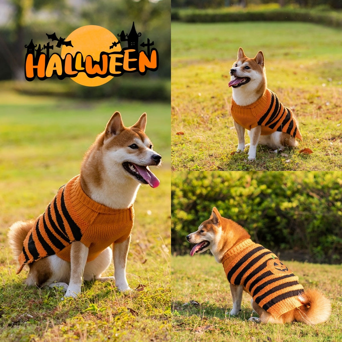 Halloween Dog Sweater – Warm Pet Costume Outfit for Teddy Dogs and Small Breeds