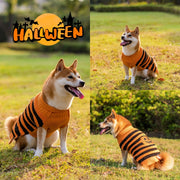 Halloween Dog Sweater – Warm Pet Costume Outfit for Teddy Dogs and Small Breeds