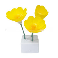 Daisy Yellow