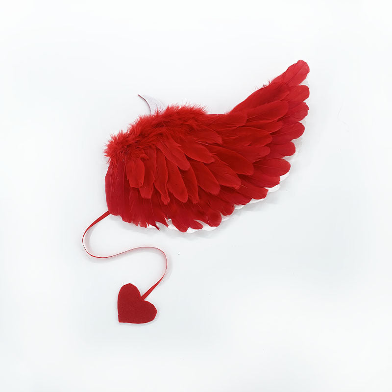 Halloween Party Makeup Costume Props Devil Angel Wings