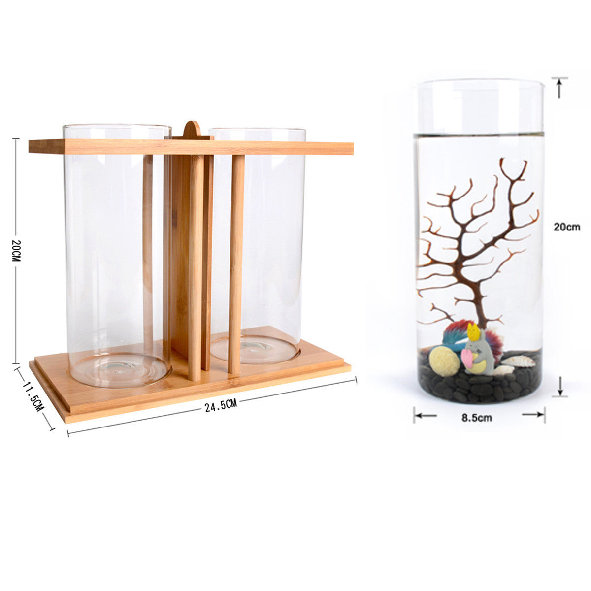 Bamboo Eco Mini Desktop Aquarium