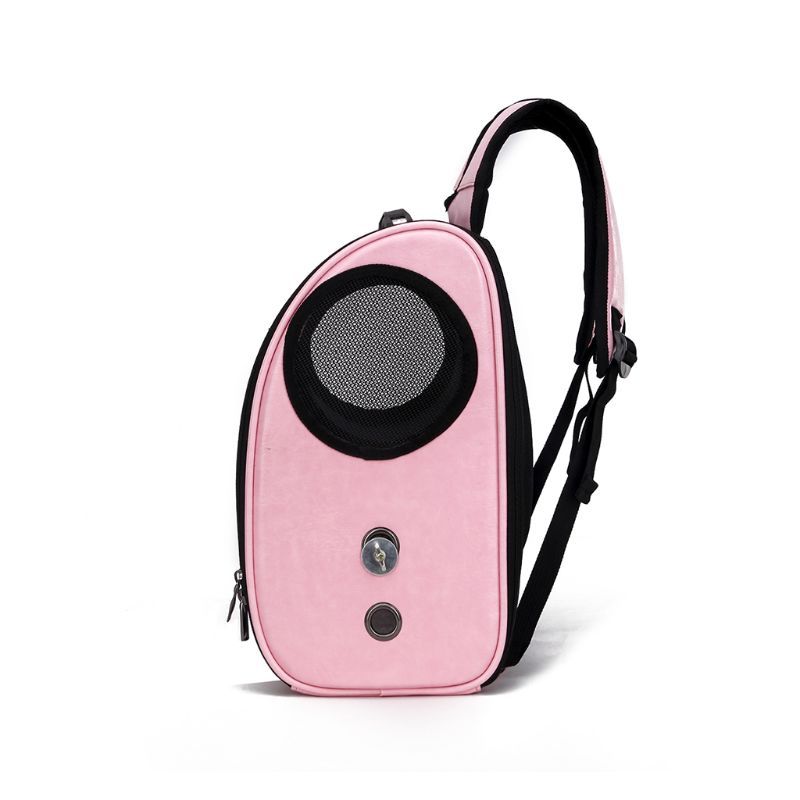 Foldable Breathable Pet Carrier Bag