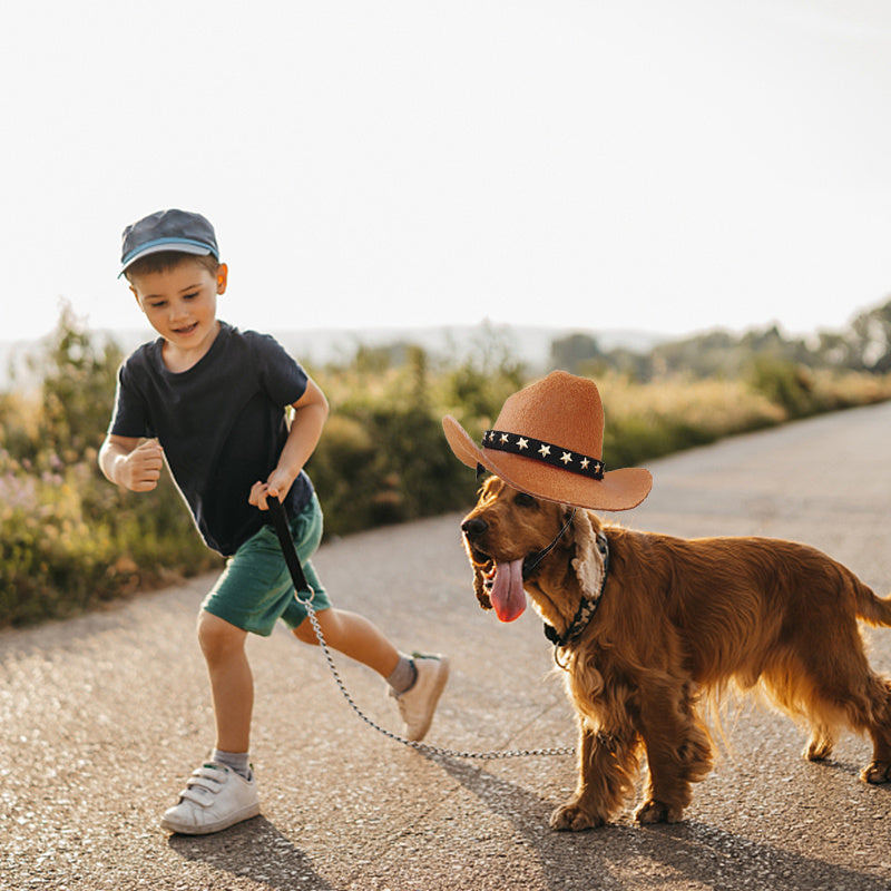 Stylish Soft Adjustable Star Cowboy Hat for Cats and Dogs