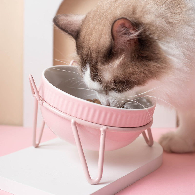 Ceramic Pet Bowl High Foot Neck Protection Snacks Anti-black Chin Oblique Mouth
