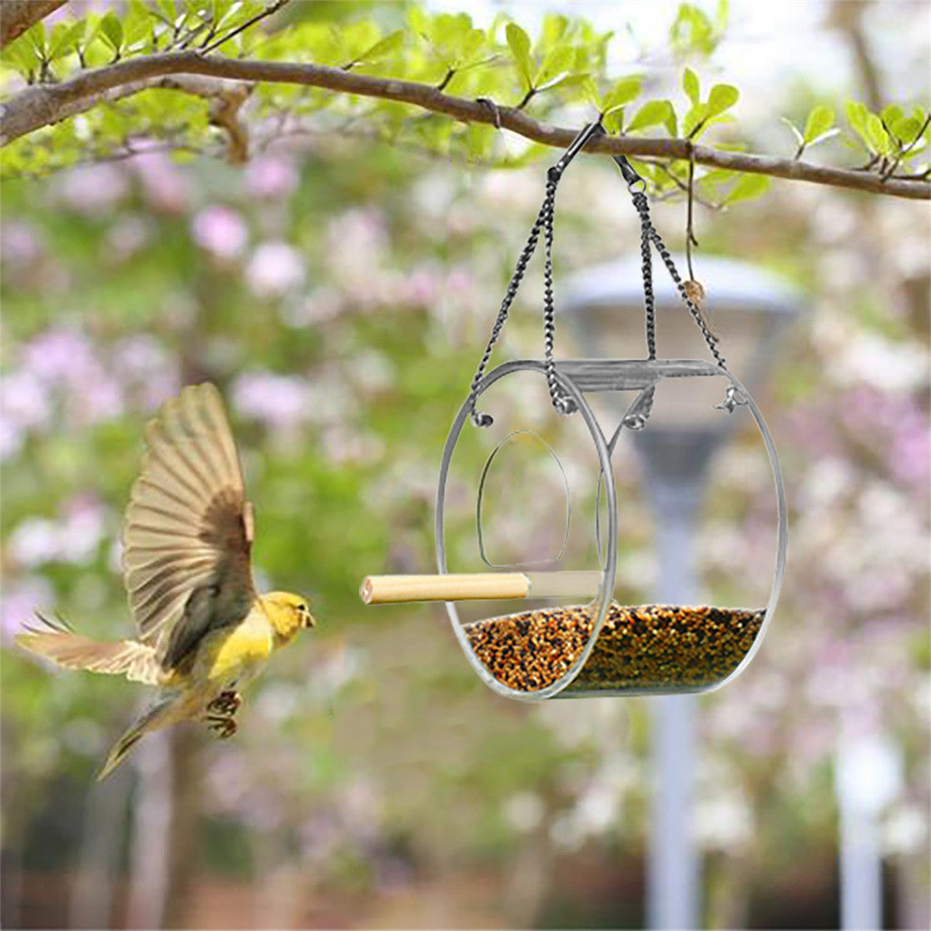 Acrylic Bird Food Feeder Box for Parrots and Small Birds