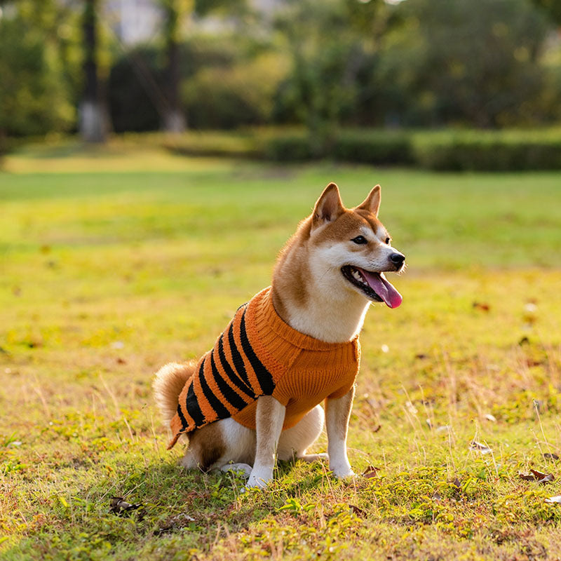 Halloween Dog Sweater – Warm Pet Costume Outfit for Teddy Dogs and Small Breeds