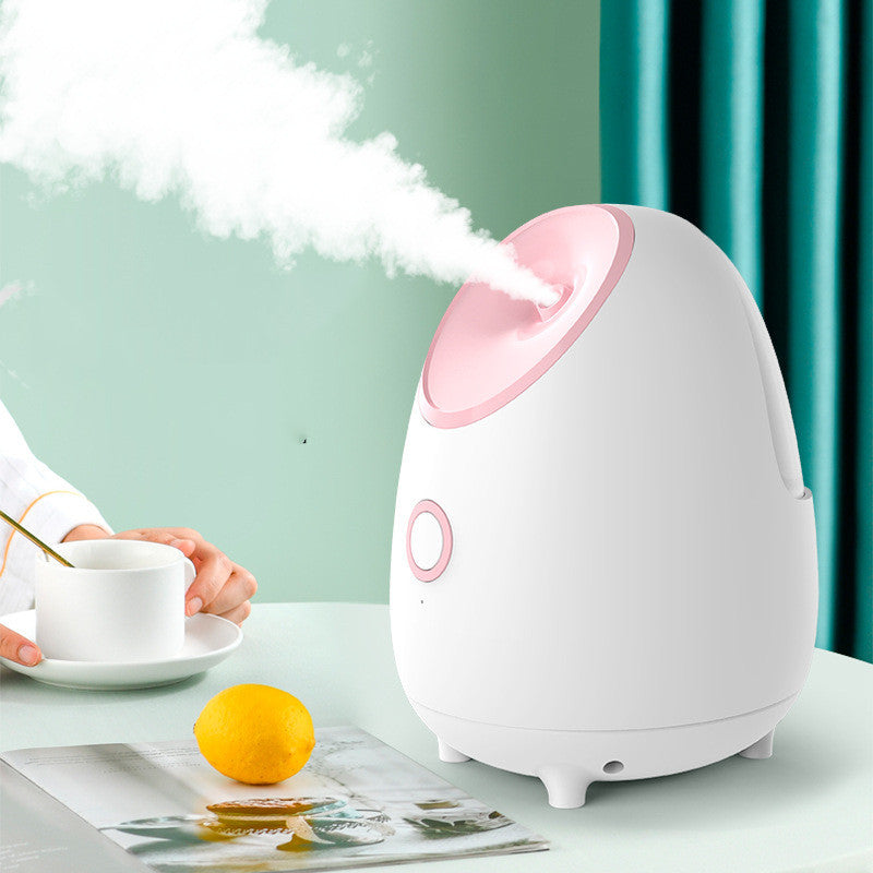 Hot Spray Facial Steamer Portable Beauty Device for Skin Care