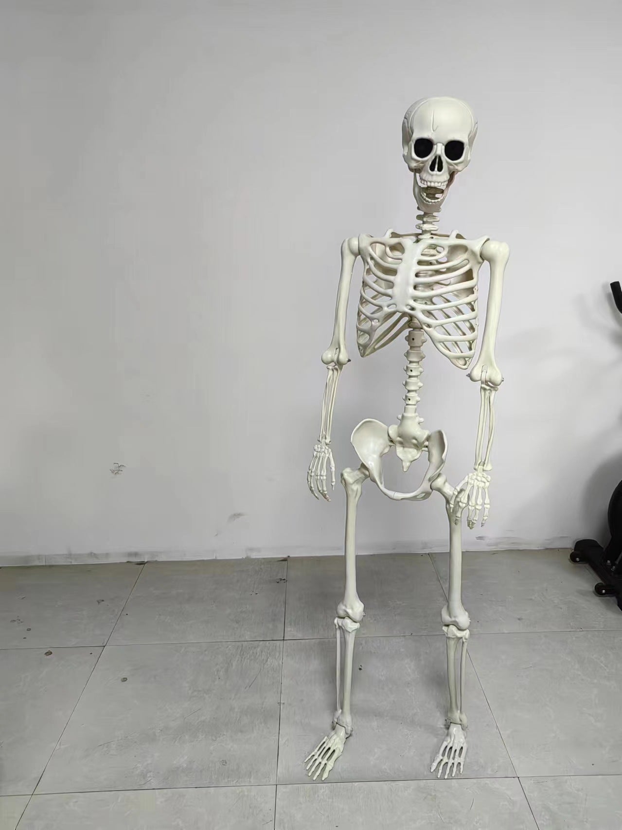 Adjustable Human Skeleton Prop – 40cm Halloween Horror Skull Ornament for Haunted House Decor