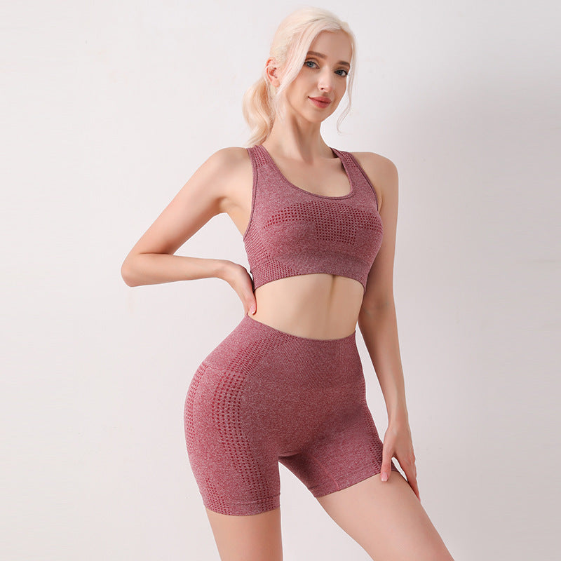 Women’s Seamless Sports Bra and High-Waist Biker Shorts 2-Piece Set