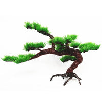 Big Pine