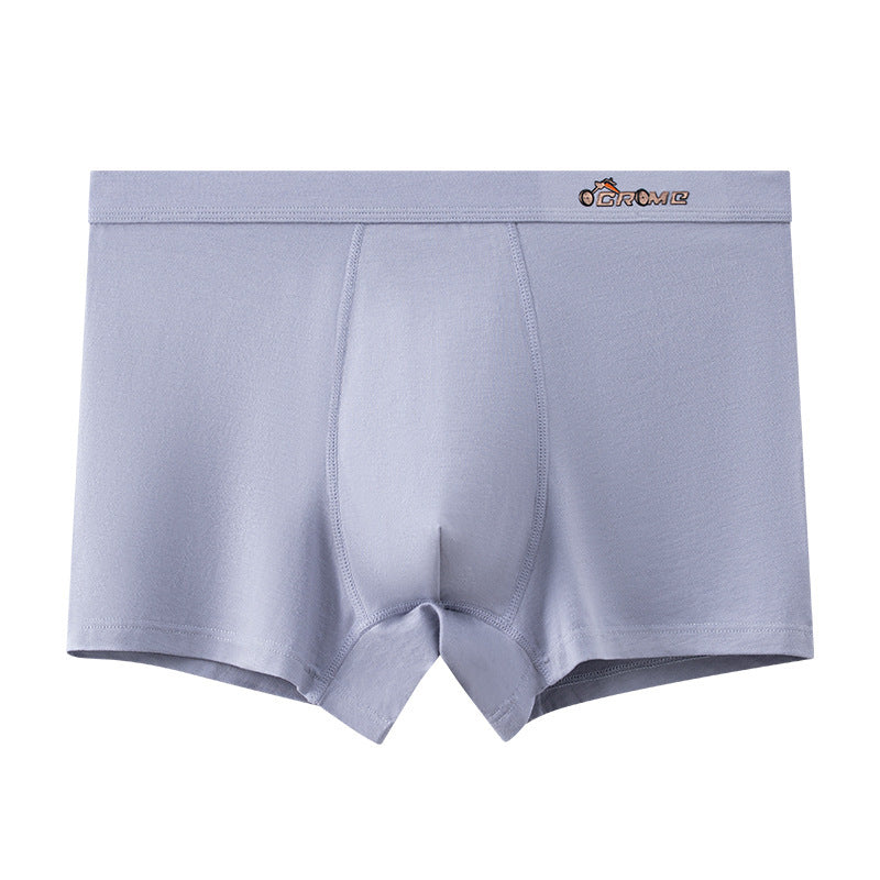 Fashion Printed Male Student Boxers