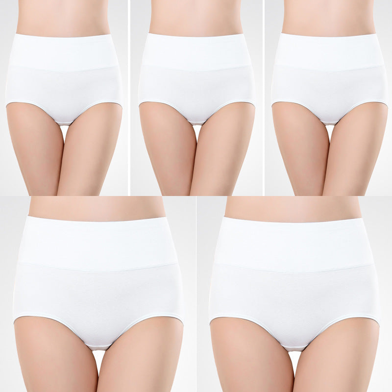 Women’s High-Waist Shaping Underwear – Control Briefs (Plus Size)