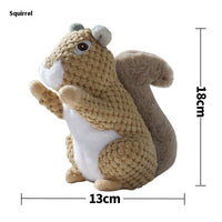 Squirrel
