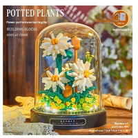 18473White Daisy