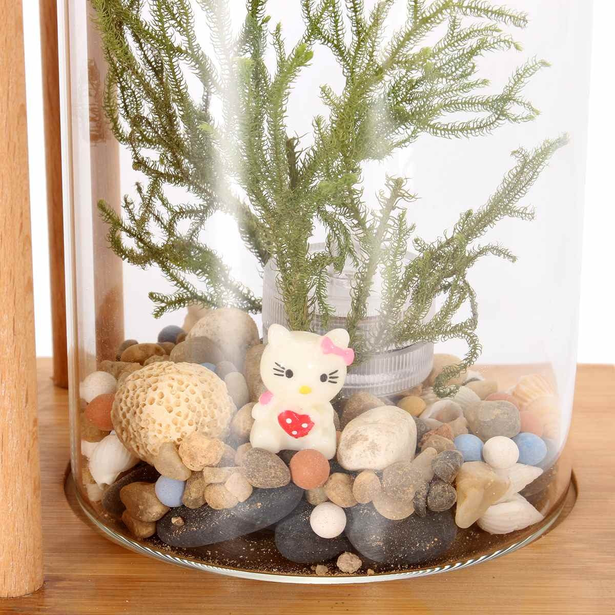 Bamboo Eco Mini Desktop Aquarium