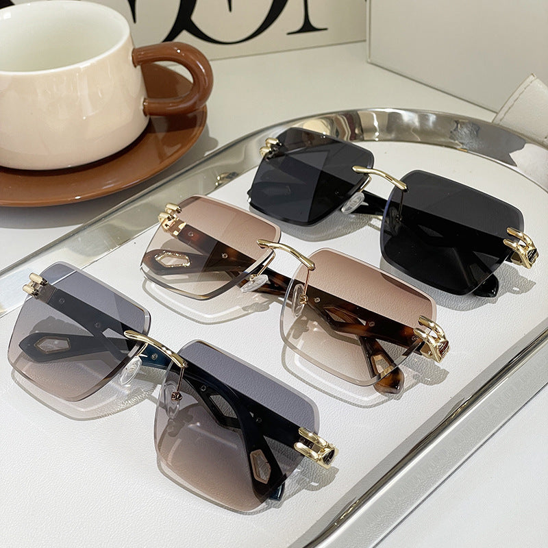 Street Style Trendy Trimming Sunglasses – INS Fashion Statement Eyewear