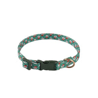 Plasticsingle Green Elderly