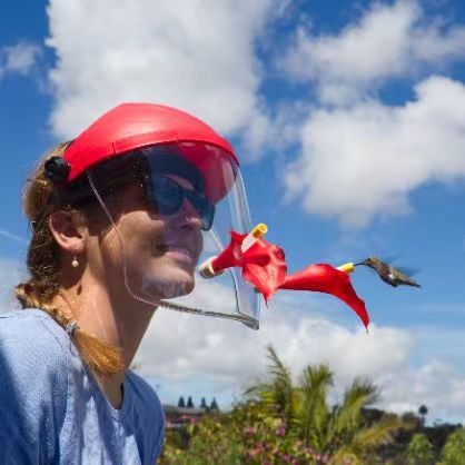 Portable Plastic Bird Feeder Headwear with Floral Design