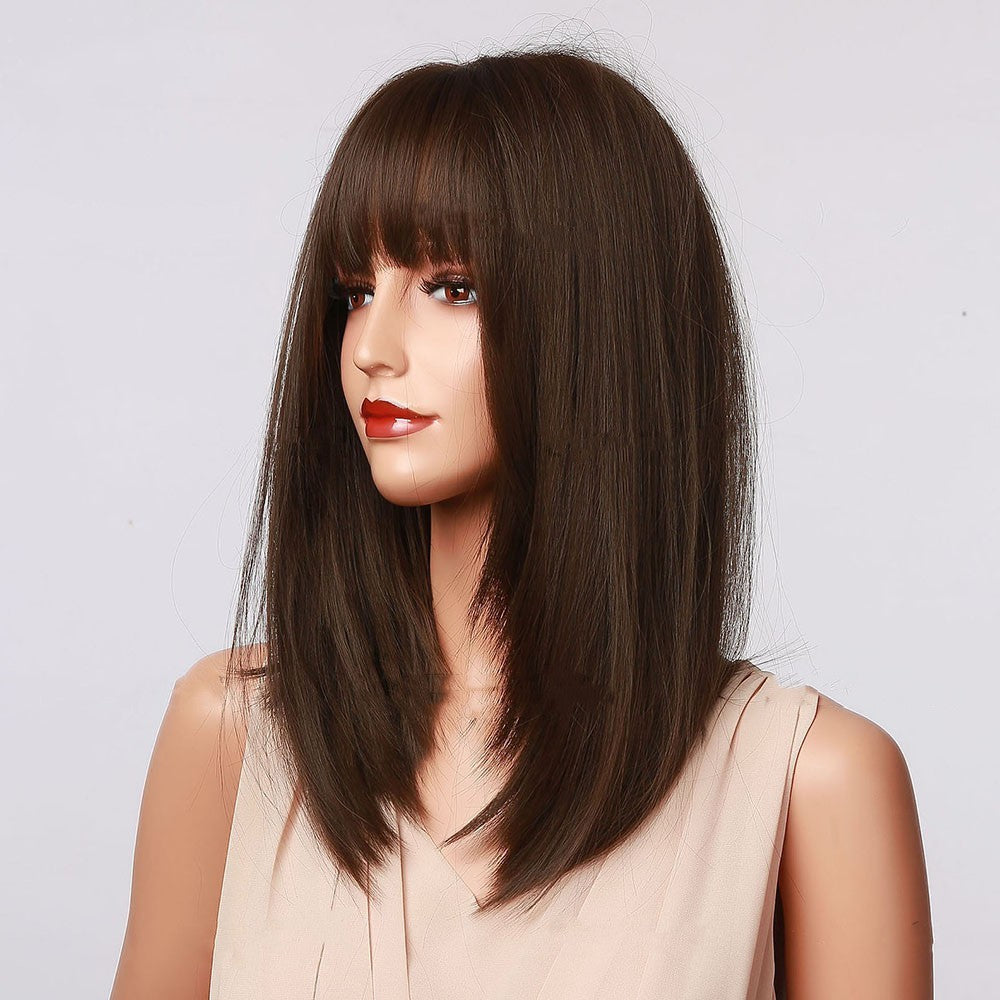 Gradient High-temperature Silk Wig
