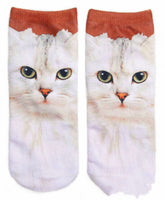 Redbrown cat