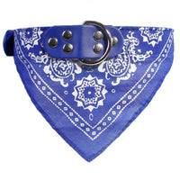 Blue2